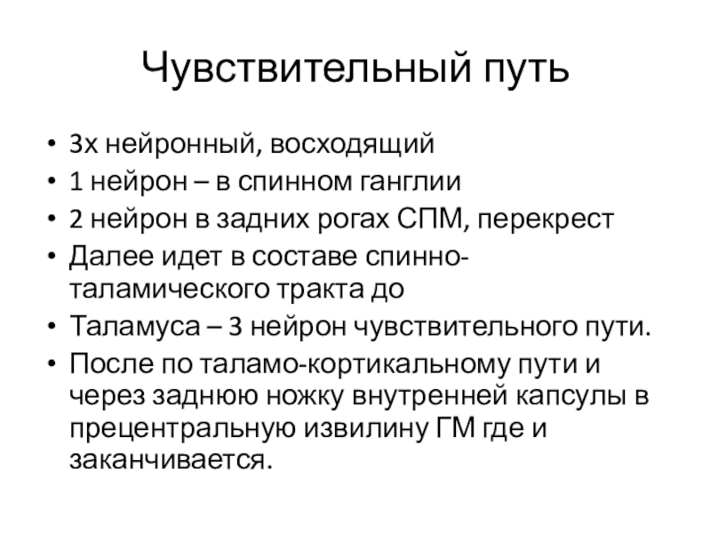 Чувствительный. Чувствительный путь. Чувствительный путь чувствительного пути. Нейрон-02 инструкция. Сколько нейронов в чувствительном пути.