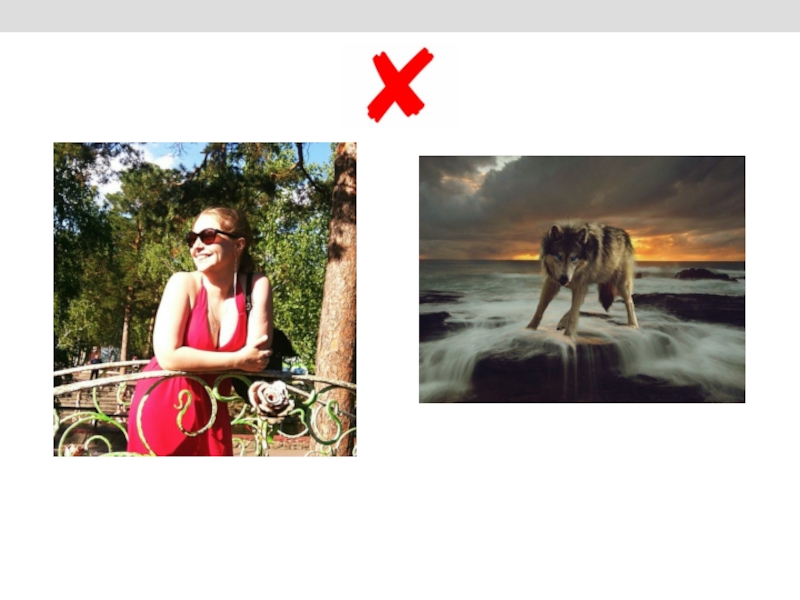 Сегодня на занятии: