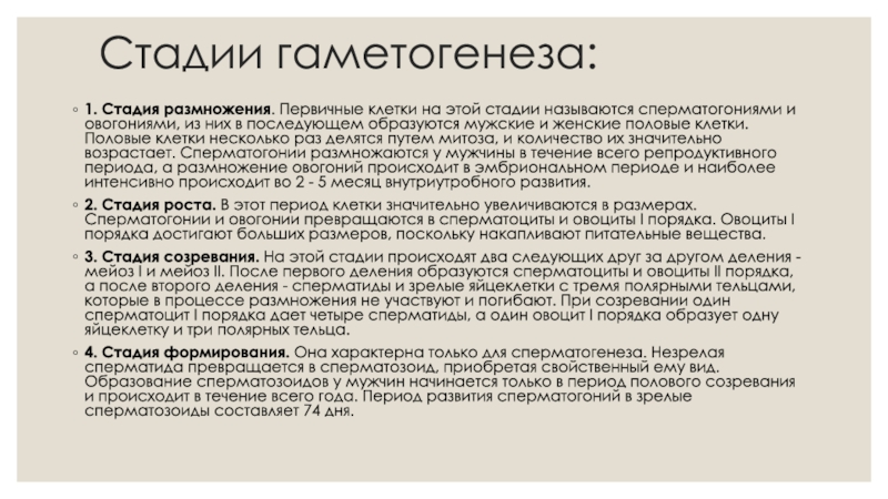 Гаметогенез и его периоды Стадии гаметогенеза:1. Стадия размножения. Первичные клетки на этой стадии называются сперматогониями Стадии гаметогенеза:1. Стадия размножения. Первичные клетки на этой стадии называются сперматогониями и овогониями, из них в последующем