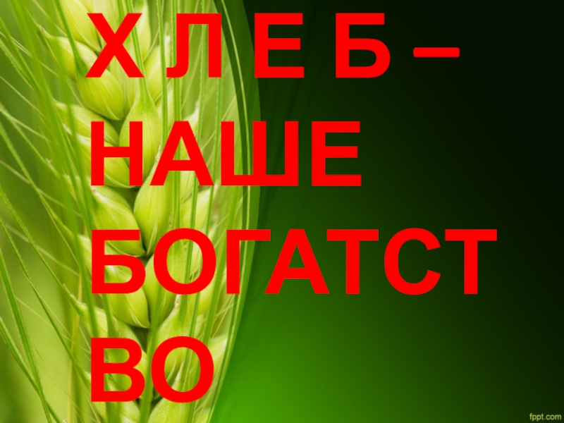 Х Л Е Б – НАШЕ БОГАТСТВО