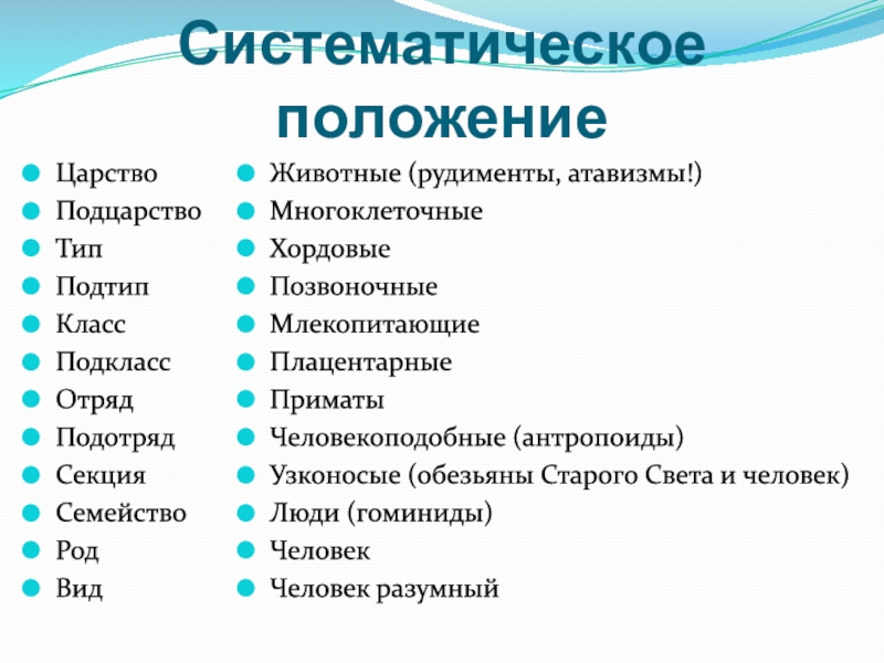 Составьте схему положения человека согласно критериям зоологической систематики