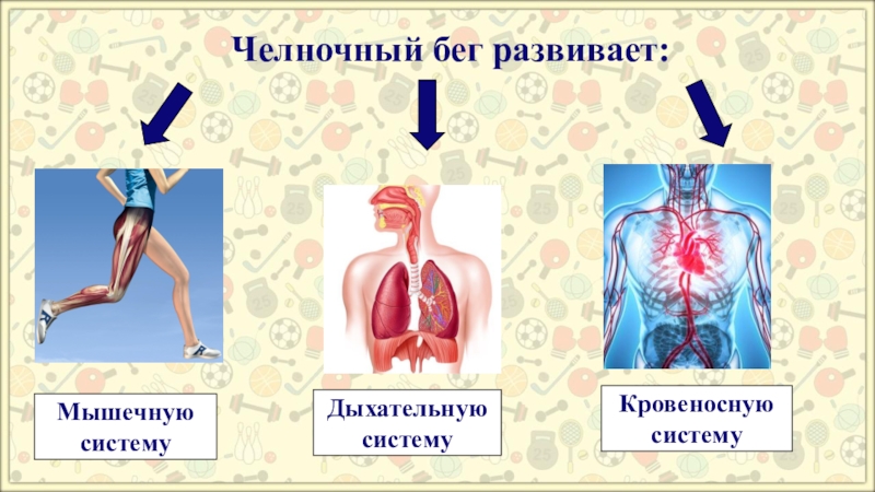 Челночный бег картинки для презентации