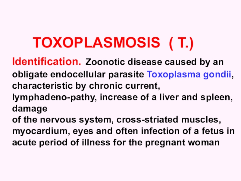 TOXOPLASMOSIS ( T.) Identification. Zoonotic disease caused by an о bligate