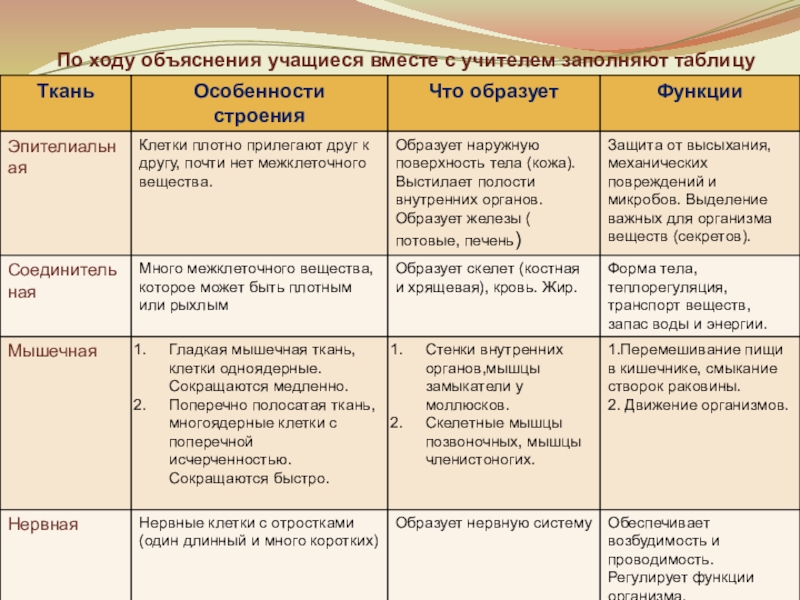 Таблица тканей 6 класс. Системы организмов таблица для заполнения. Заполните таблицу Тип волос Тип состава. Заполните таблицу по ходу сообщений учителя и учащихся о блоке. Заполните таблицы в ходе сообщений учителя и учащихся.