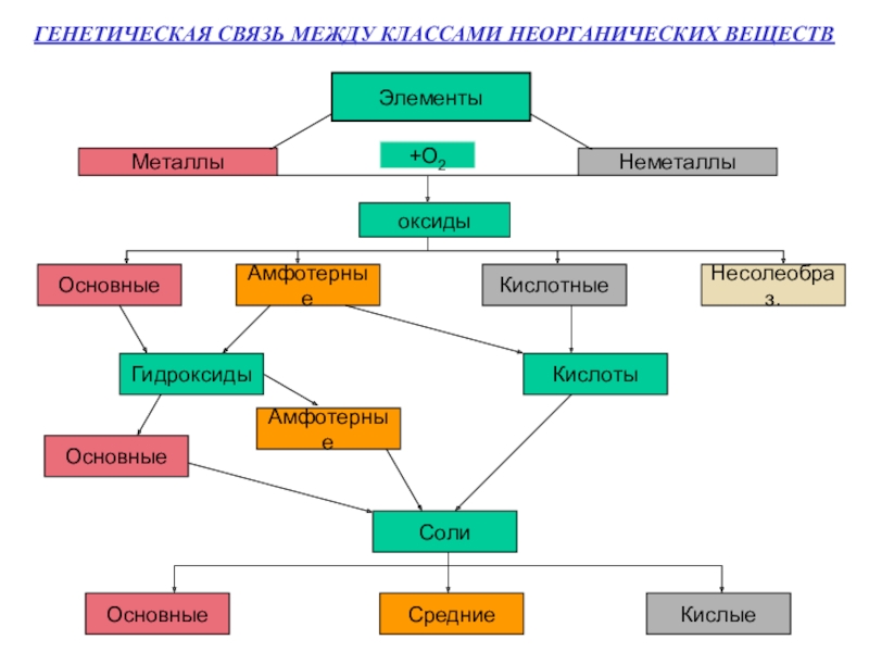 Схема генетической связи