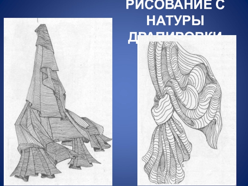 Презентация Рисование с натуры драпировки