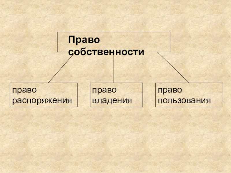 Право распоряжения. Что такое право владения в информатике. Право распоряжения информацией. Что такое право распоряжения в информатике. Право распоряжения картинки для презентации.