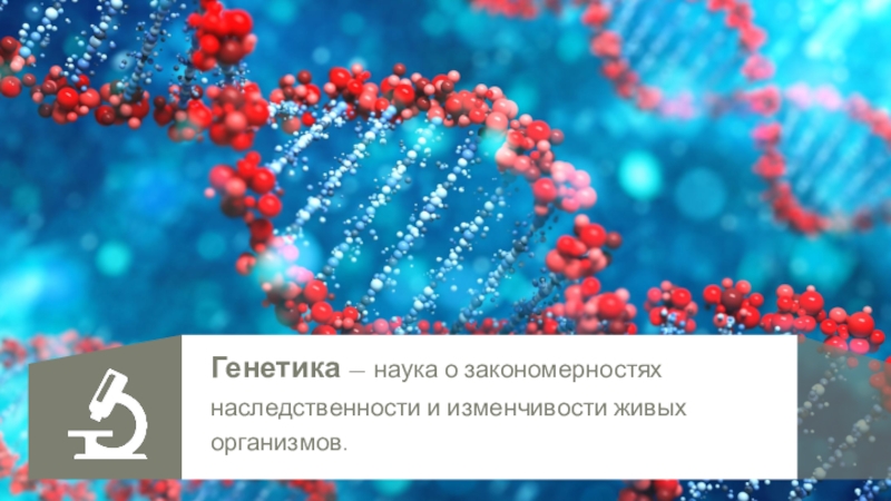 Генетика — наука о закономерностях наследственности и изменчивости живых