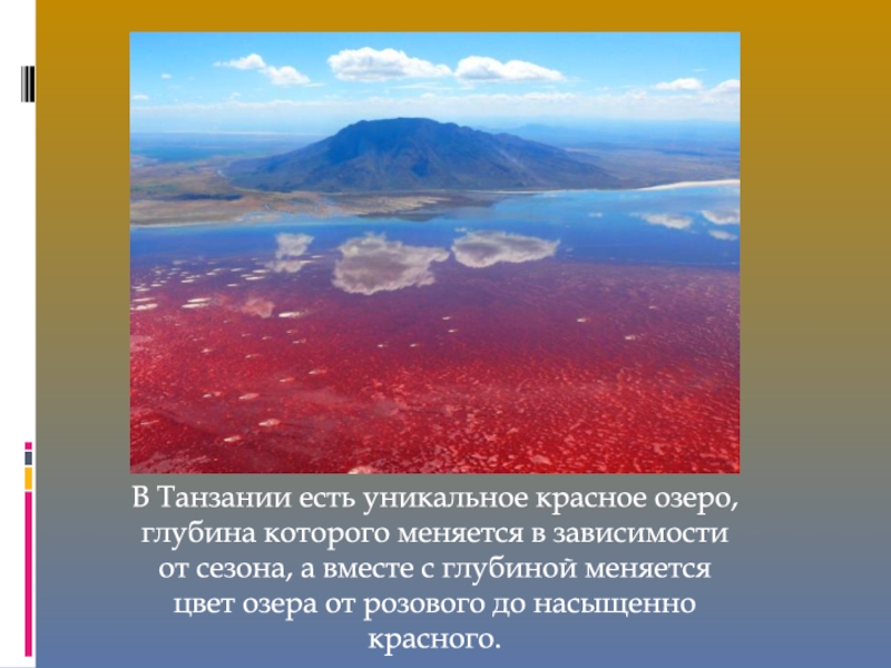 Есть красное озеро. В Танзании есть уникальное красное озеро. Красное озеро презентация. Красное озеро в Танзании. Танзания презентация.
