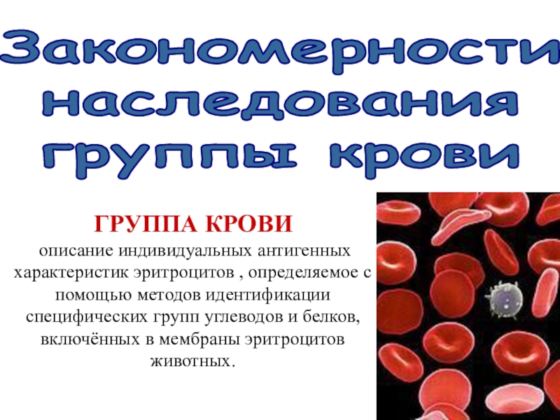 Закономерности
наследования
группы крови
ГРУППА КРОВИ
описание индивидуальных