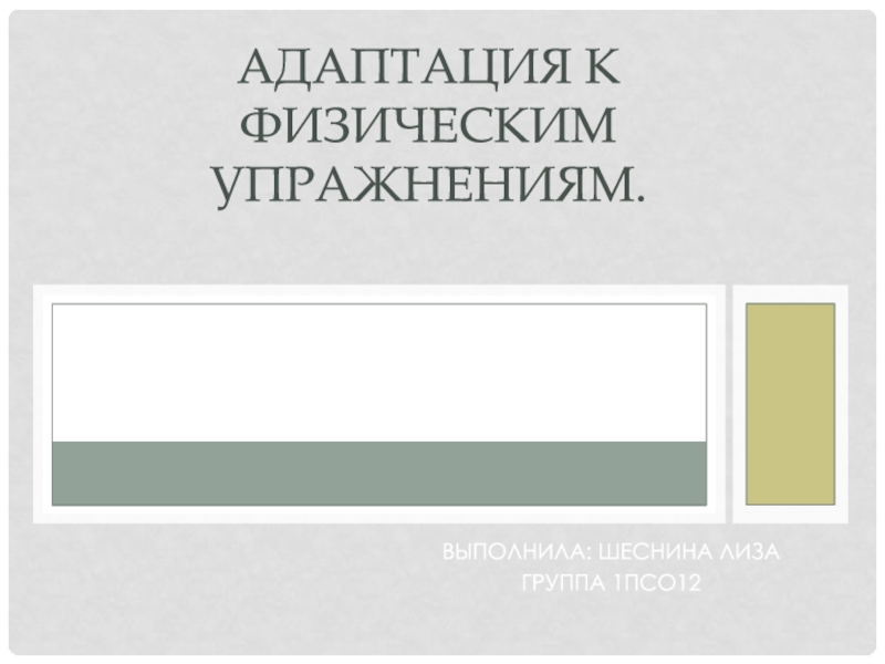 Презентация Адаптация к физическим упражнениям