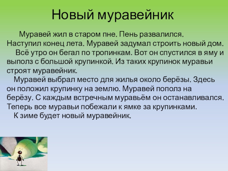 Муравьи текст по русскому. Новый Муравейник изложение. Муравей жил в Старом пне. Новый Муравейник. Текст новый Муравейник.