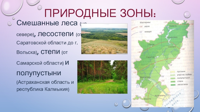 Река волга какая природная зона. Природные зоны Поволжья. Природные зоны в Самарской губернии. Лесостепь природная зона карта. Рельеф Поволжья карта.