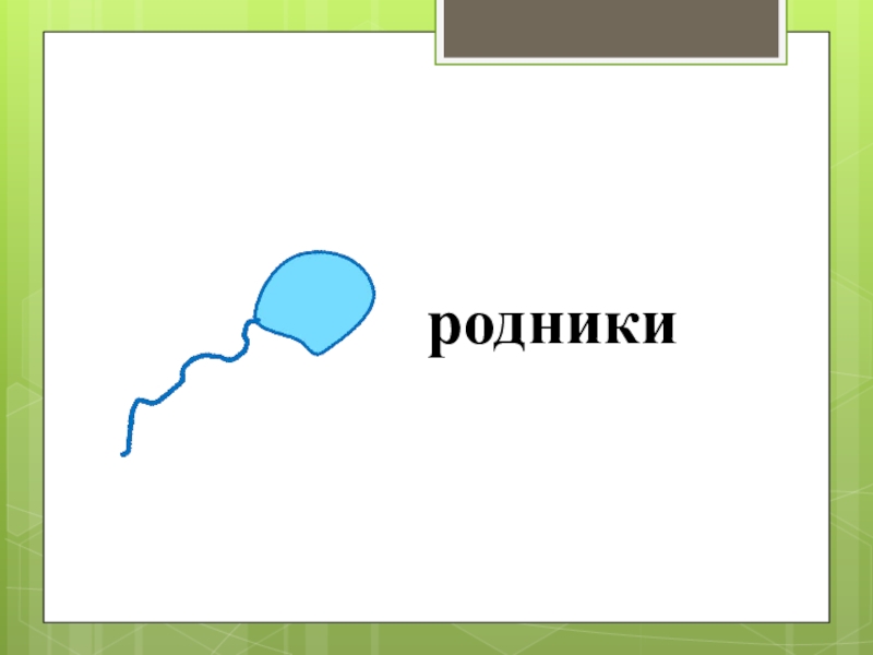 Условные знаки на карте родник. Условный знак Родник. Топографический знак ключ Родник. Условное обозначение родника на карте. Родник ручей условный знак.