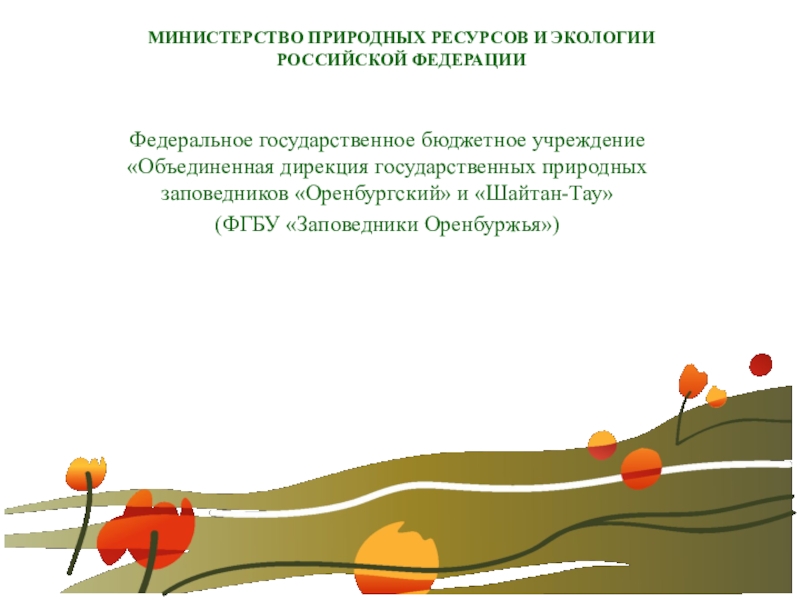 МИНИСТЕРСТВО ПРИРОДНЫХ РЕСУРСОВ И ЭКОЛОГИИ РОССИЙСКОЙ ФЕДЕРАЦИИ