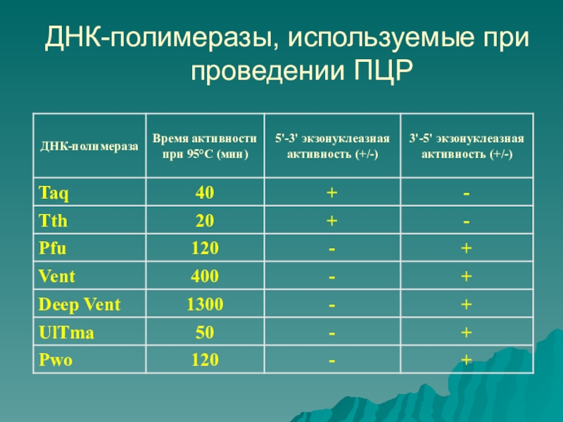 Активности днк полимераз. Полимеразы для ПЦР. ПЦР ДНК полимераза. Полимеразная активность. Полимеразы. Ревертазы в ПЦР.