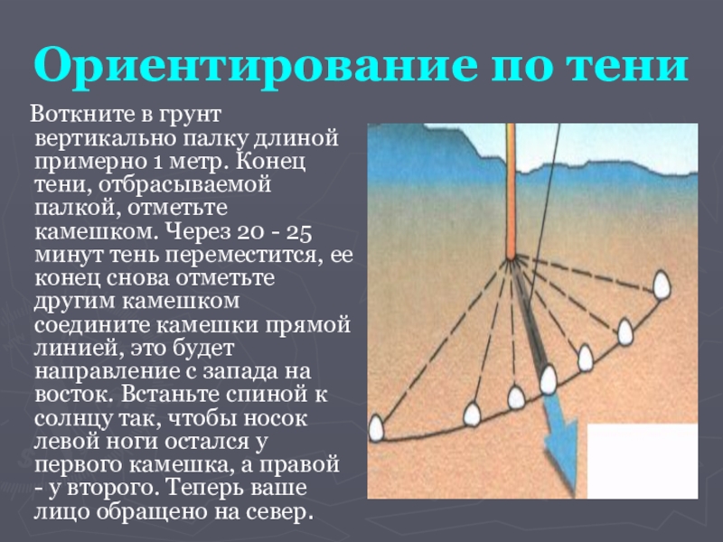 Презентация ориентирование на местности 6 класс обж