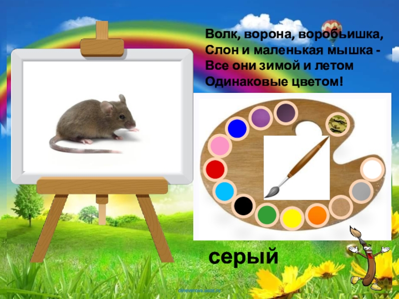 Палитра Загадки про цвета Волк, ворона, воробьишка, Слон и маленькая мышка - Все они зимой и летом Одинаковые цветом!серый Волк, ворона, воробьишка, Слон и маленькая мышка - Все они зимой и летом Одинаковые цветом!серый