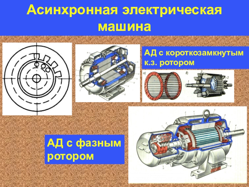 Асинхронная машина. Асинхронная машина с короткозамкнутым ротором. Асинхронной машине c короткозамкнутым ротором соответствует схема. Асинхронный двигатель с короткозамкнутым ротором. Асинхронный двигатель с короткозамкнутым ротором принцип.