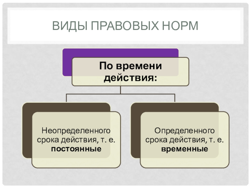 Виды правовых норм. Виды юридических норм. Правовые нормы и их характеристики. Виды и функции правовых норм.