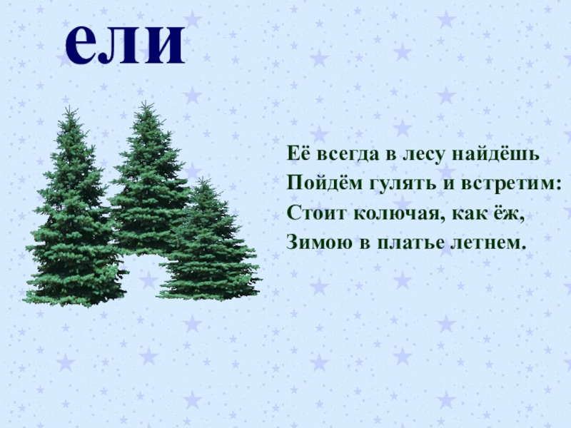 Слова с ель. Ее всегда в лесу найдешь пойдем гулять и встретим стоит колючая. Её всегда в лесу найдёшь. Слово ели.