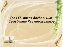 Урок 56. Класс двудольные. Семейство Крестоцветные