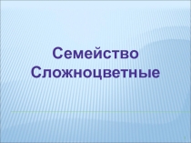Семейство Сложноцветные