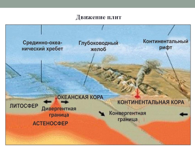 Континентальная х. Континентальный рифт. Континентальный и океанический рифтогенез. Континентальные и Океанические рифты. Конвергентное движение плит.