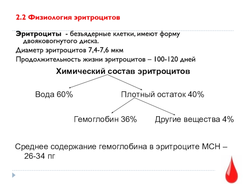 Безъядерные клетки имеют форму двояковогнутого диска. Эритроциты физиология. Функции эритроцитов физиология. Физиологическая роль эритроцитов. Способы разрушения эритроцитов физиология.