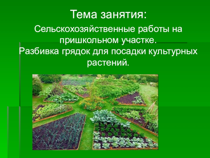 Презентация Тема занятия:
Сельскохозяйственные работы на пришкольном участке. Разбивка
