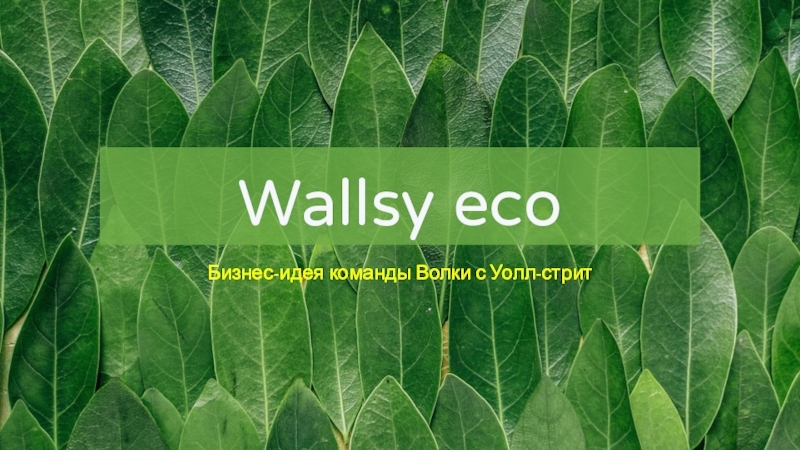 Wallsy eco