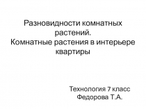 Разновидности комнатных растений. Комнатные растения в интерьере квартиры