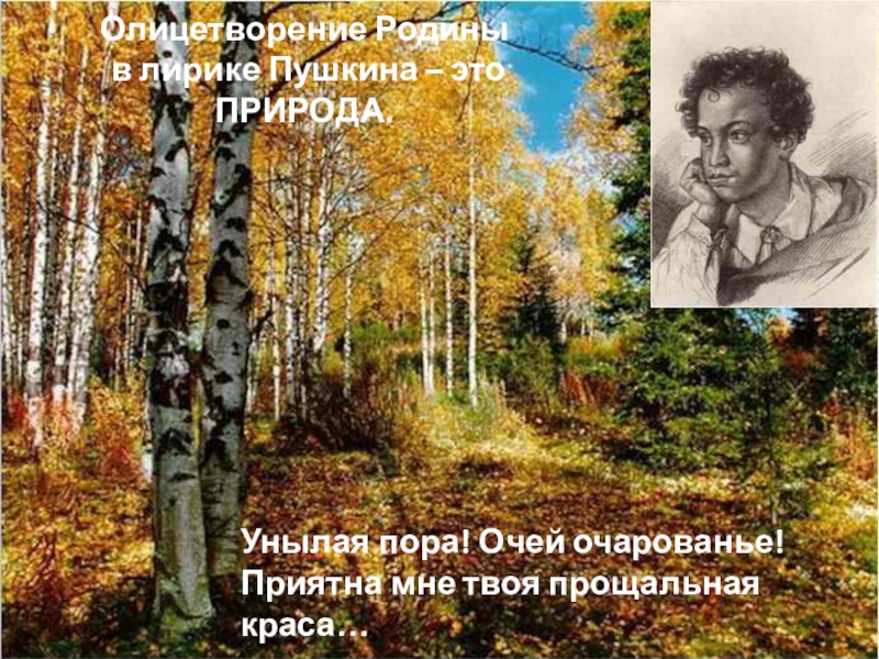 Пушкин родная природа