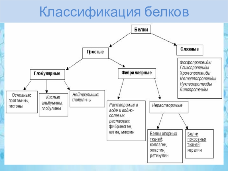 Классификация белков презентация