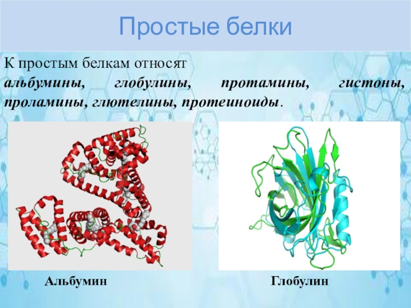 Кроме белков. Альбумин строение белка. Белок альбумин структура белка. Классификация белков альбумины глобулины. Альбумин молекула.