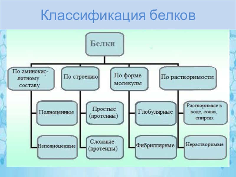 Классификация белков презентация