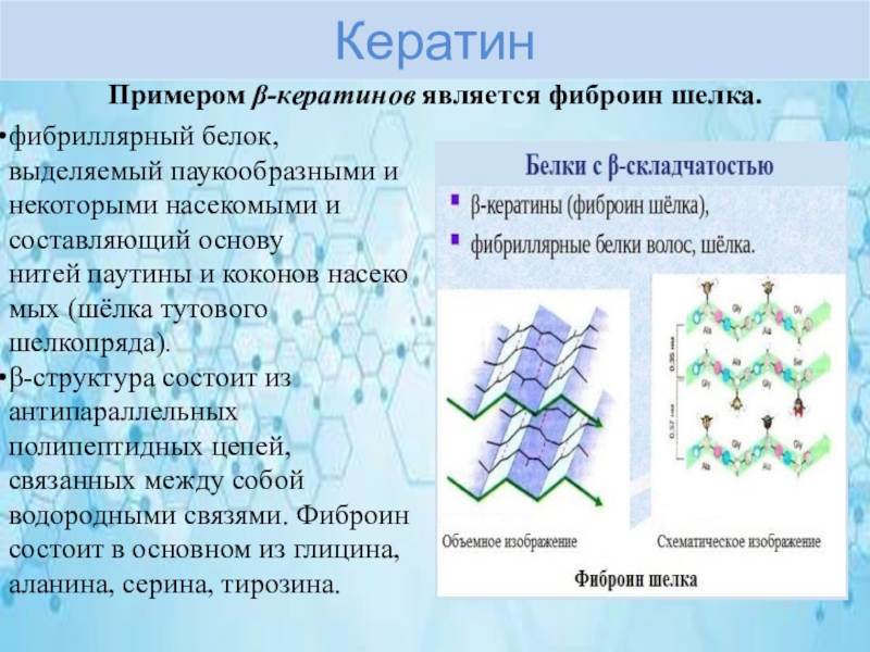 Классификация белков презентация