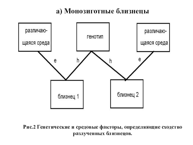 Метод близнецов в психогенетике