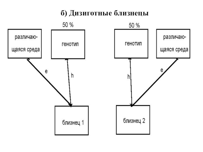 Метод близнецов в психогенетике. Близнецовый метод в психогенетике. Презентация на тему близнецовый метод. Близнецовый метод в психогенетике картинки. Метод близнецов в психогенетики.