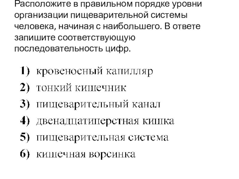 Порядок уровень. Порядок уровней организации пищеварительной системы человека. Уровни организации пищеварительной системы. Уровни организации пищеварительной системы человека начиная. Уровни организации пищеварительной системы начиная с наибольшего.