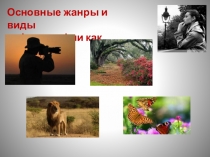 Основные жанры и виды
в фотографии как искусства