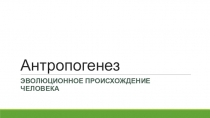 Антропогенез
