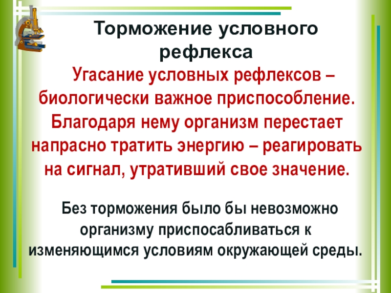 Образование и торможение условных рефлексов презентация