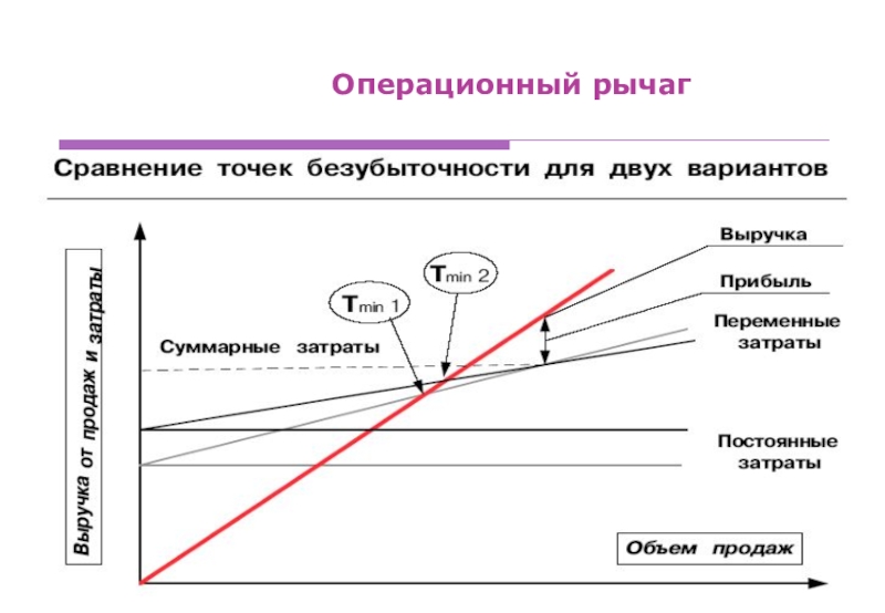 Операционный рычаг презентация