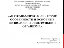 Анатомо-морфологические особенности и основные физиологические функции