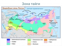 Зона тайги