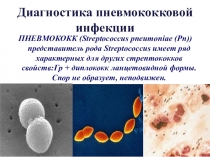 Диагностика пневмококковой инфекции