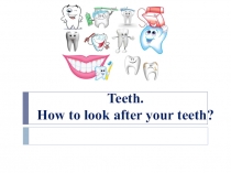 Teeth. How to look after your teeth?