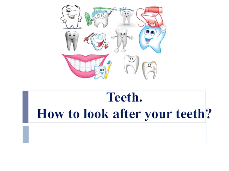 Teeth. How to look after your teeth?