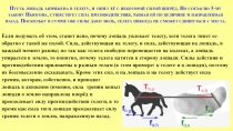 Если подумать об этом, станет ясно, почему лошадь увлекает телегу, хотя телега